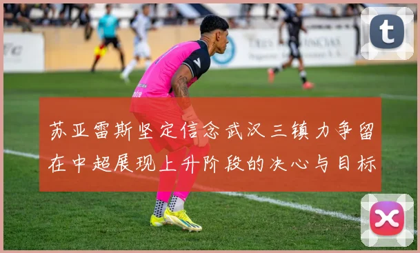 苏亚雷斯坚定信念武汉三镇力争留在中超展现上升阶段的决心与目标