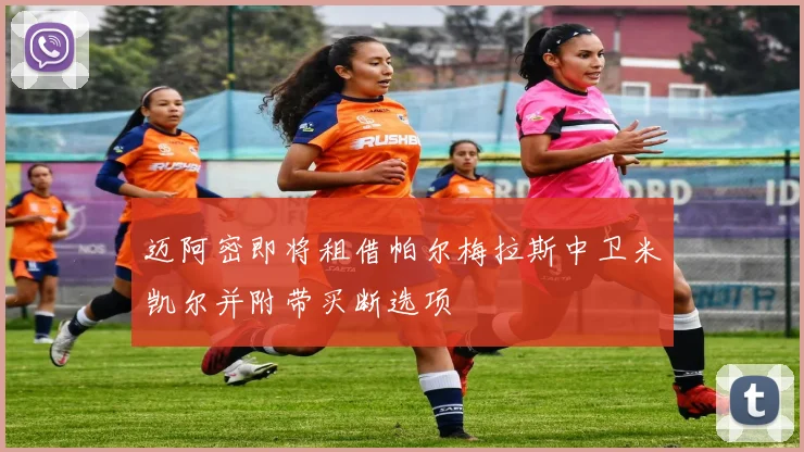 迈阿密即将租借帕尔梅拉斯中卫米凯尔并附带买断选项